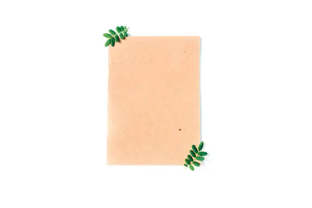 Photo of An empty sheet of brown paper on a white background and green leaflets in the corners, save nature