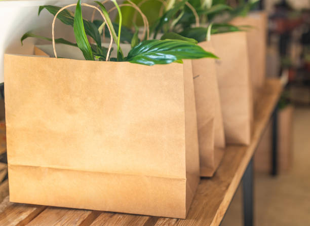 istock Peace lily plants in the shopping bag 1282529135