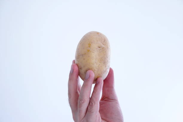 cały surowy ziemniak w posiadaniu kaukaskiej męskiej ręki z bliska strzał wyizolowany na białym - root vegetable raw potato human skin root zdjęcia i obrazy z banku zdjęć
