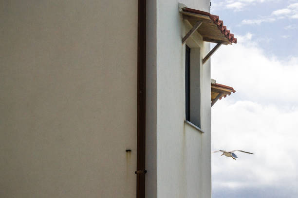 Cefalù town, Sicily, Italy, April 7, 2013. Seagull flies in cloudy sky