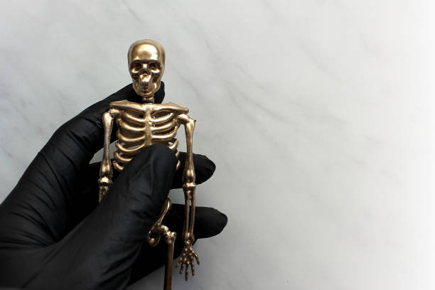 hand in a black glove holds the skeleton against a light background