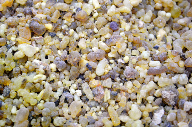 Frankincense crystals at Suq Al Alawi, Jeddah, Mecca Region, Saudi Arabia Jeddah, Mecca Region, Saudi Arabia: detail of frankincense / olibanum crystals at Suq Al Alawi. Air-dried gum resin that is obtained from various types of Boswellia tree. Frankincense is not only used for religious rites, but also medicinally as a phytotherapeutic. Frankincense resin is coarse-grained to lumpy and has a translucent brown-yellow to reddish-brown color. tree resin stock pictures, royalty-free photos & images