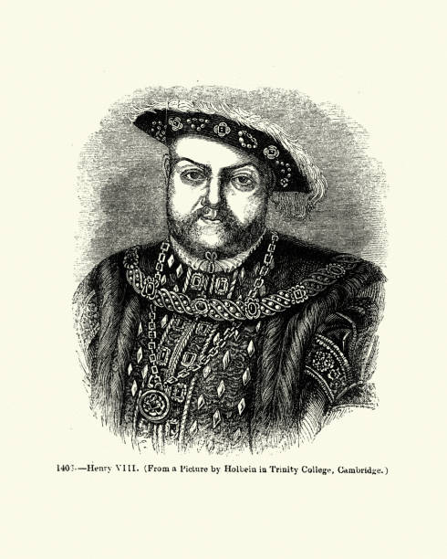 ilustrações de stock, clip art, desenhos animados e ícones de king henry viii - henry viii tudor style king nobility