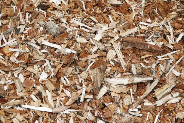 istock White, gray and brown wood chips as an abstract natural background, texture. 1282539959