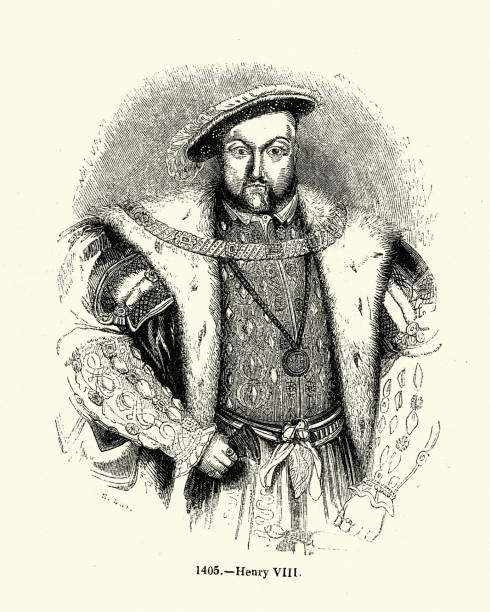 illustrazioni stock, clip art, cartoni animati e icone di tendenza di re enrico viii d'inghilterra, storia di tudor - henry viii tudor style king nobility