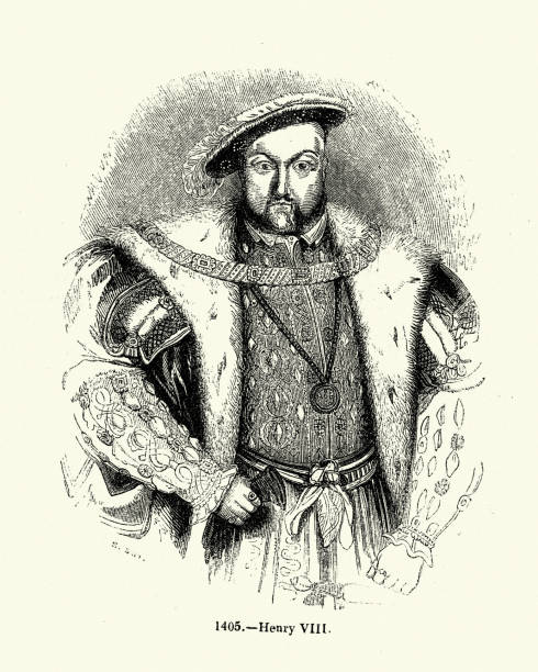 король англии генрих viii, история тюдоров - henry viii tudor style king nobility stock illustrations
