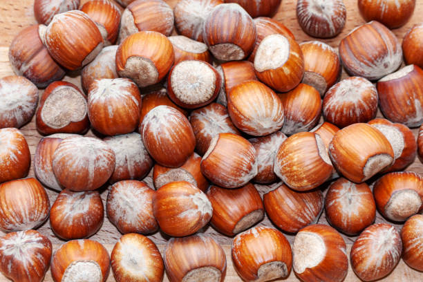 istock Hazelnuts lay evenly on a wooden surface. Close-up. Can be used as a natural background, texture. 1282540005