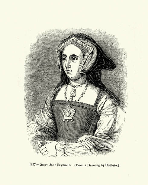 королева джейн сеймур, третья жена короля генриха viii - henry viii tudor style king nobility stock illustrations