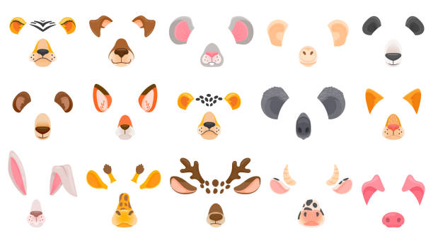 28,999 Animal Nose Illustrations & Clip Art - iStock | Animal nose vector,  Animal nose closeup
