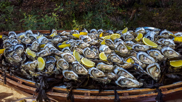 istock Oysters Buffet in Arcachon, France 1282544344