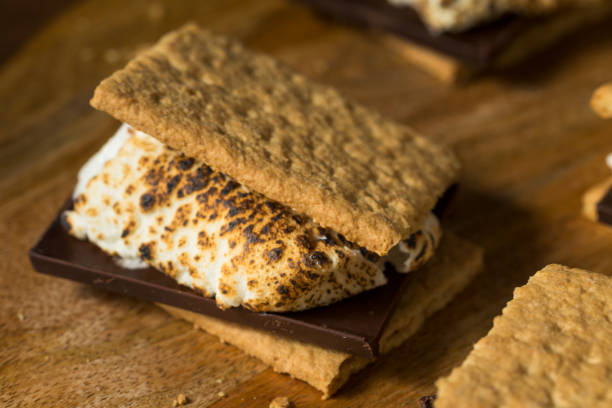 istock Homemade Gooey Marshmellow Smore 1282544412