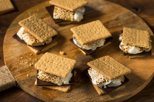 istock Homemade Gooey Marshmellow Smore 1282545315