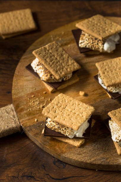 istock Homemade Gooey Marshmellow Smore 1282545337