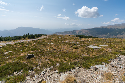 Mountainous landscape of Sierra Nevada in southern Spain, there is pine forest, there are stones and rock, there are grass and bushes, the sky has clouds