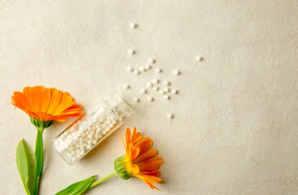 Flat lay view of transparent bottle jar lie over and round homeopathy pills globules scattered on rustic beige background, pot margold blossoms. Room for text. Alternative medicine healing concept.