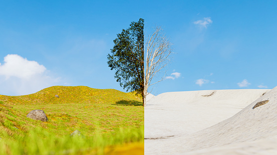 View of a tree split in two. One side shows the tree covered in snow. The other shows the tree with leaves in the summer. \n\nDigitally generated image.