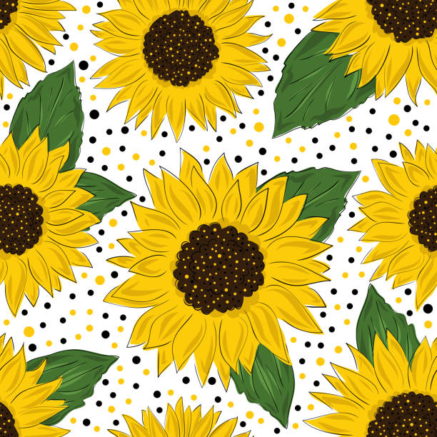 97 Seamless Outlined Cartoon Sunflower Background Illustrations & Clip Art  - iStock