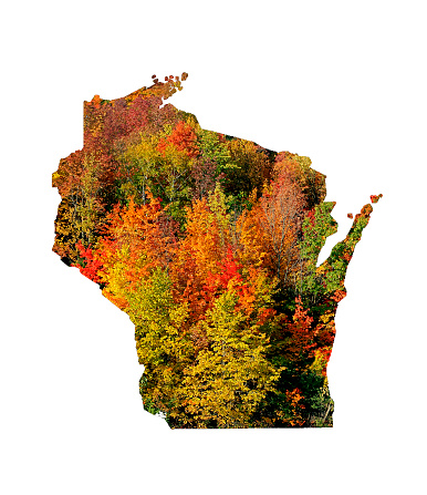 Wisconsin Fall colors on outline of the state. Orange, green and bright yellow.