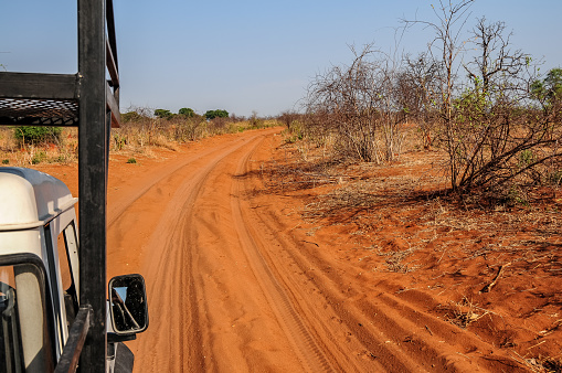 Red sand track that penetrates the arid desert landscape in northern Botswana, photographed from the body of an off-road vehicle.