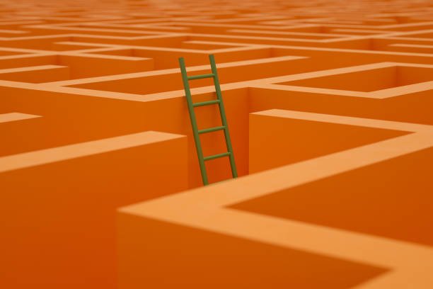 A wooden ladder in the middle of a maze