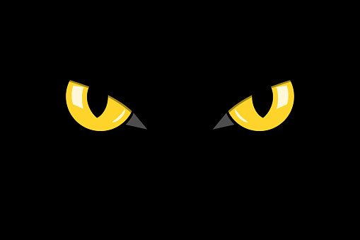 closeup cat eyes of black cat in dark night vector illustration