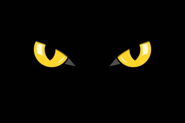 Vector illustration of closeup cat eyes of black cat in dark night vector illustration
