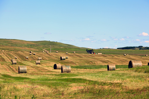 Alberta Agricultural landscape with circular hay bales and pumpjacks
