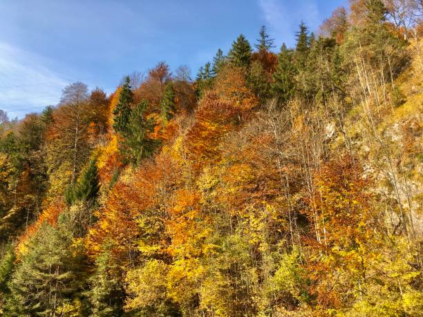 istock Golden autumn in Bavaria, Germany 1282558318