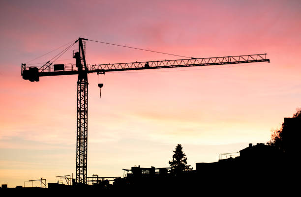 istock Crane at a beautiful sunset. Light grain in the sky. 1282558461