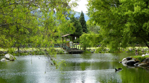 istock Pond at the park, Ecuador 1282559694