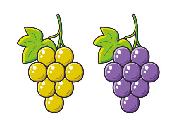 녹색과 파란색 빨간색 포도 무리 - red grape stock illustrations