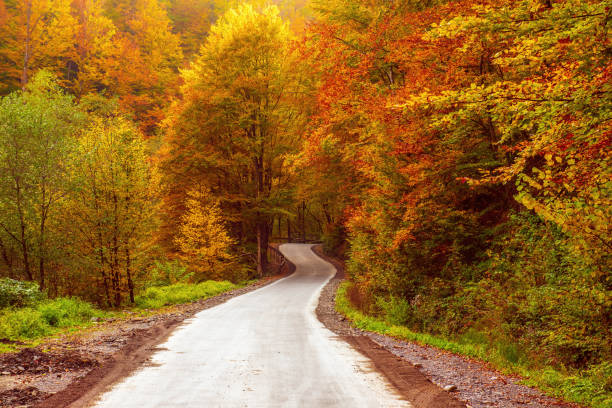 istock Beautiful autumn landscape 1282563296