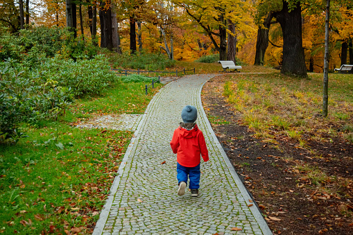 Little boy is walking on alley in a autumn park