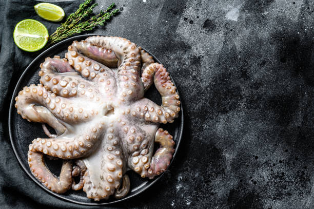 istock Fresh octopus with cooking ingredients, lime, thyme, chili pepper. Black background. Top view. Copy space 1282568253