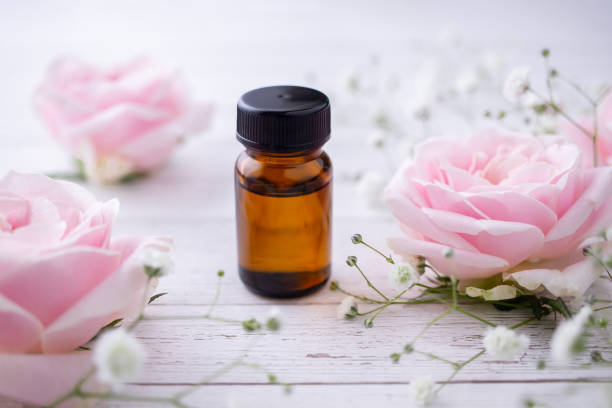 istock Essential oil and pink rose. Aromatherapy image. 1282571606
