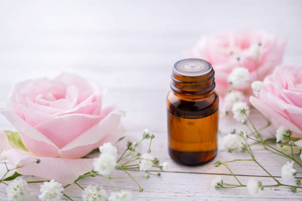 istock Essential oil and pink rose. Aromatherapy image. 1282571613