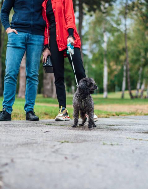 istock Couple with their pet on a leash 1282573210