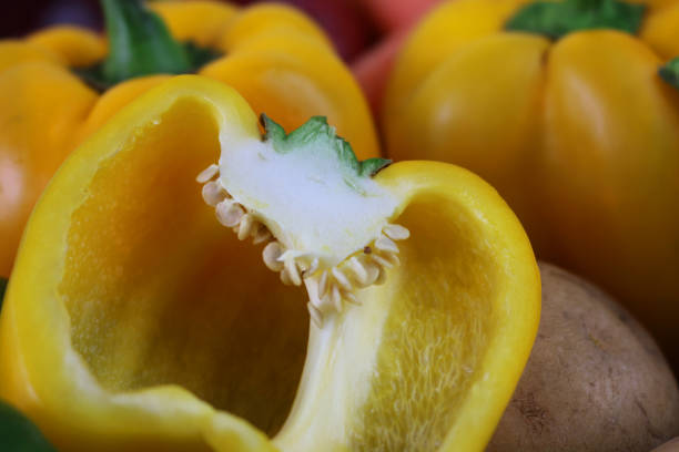 Stock photo showing a close-up view of the pericarp (ovary wall), seeds, placenta, septum and locule (chamber) of a yellow bell pepper (Capsicum).
