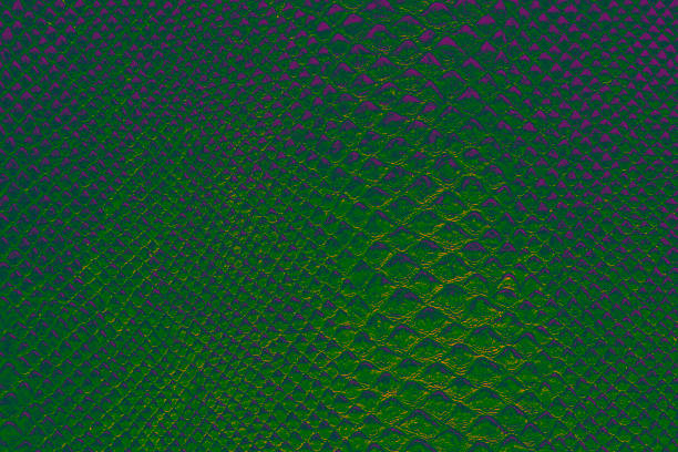 istock emerald green snake skin background texture 1282576699