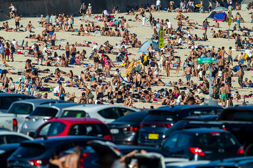Crowds of people at Sydney beach