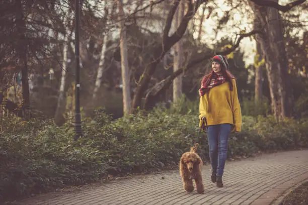 Photo of Pet owner walking with dog in a park