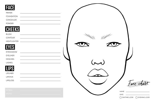 ilustrações de stock, clip art, desenhos animados e ícones de face chart blank. makeup artist vector template. - artist art artists canvas human eye