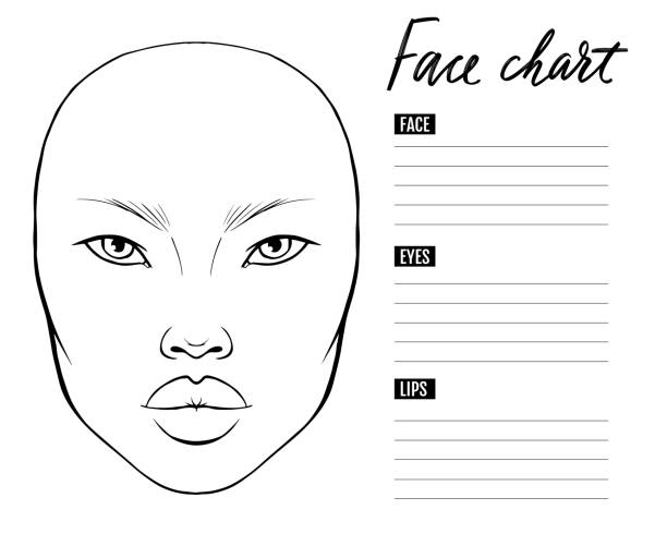 ilustrações de stock, clip art, desenhos animados e ícones de face chart blank. makeup artist vector template. - artist art artists canvas human eye