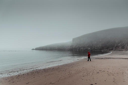 Woman with a red jacket walking on a beach on a rainy foggy autumn day, Shetland Islands.
