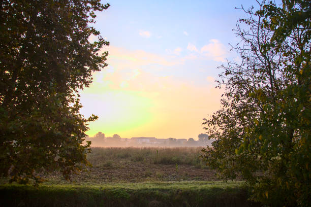 Field in the countryside on a misty day in autumn framed by trees