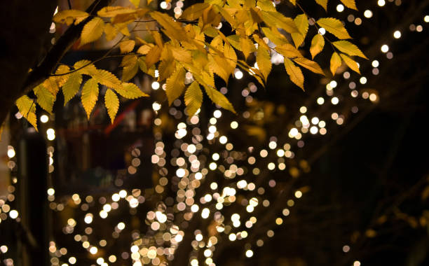 istock Christmas Illumination in the City (Tokyo Marunouchi) 1282588331