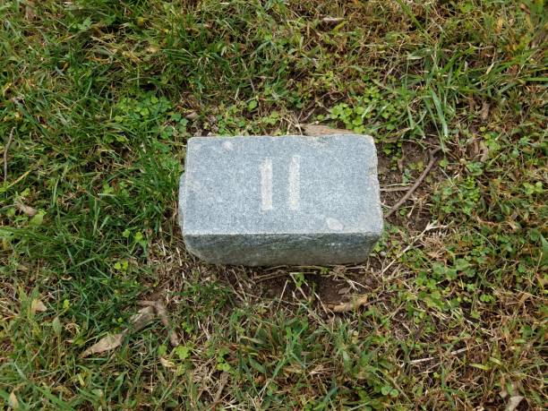 istock grey stone with number eleven in grass 1282590860
