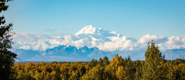 istock Panoramic view of Denali mountain peak at summer in Alaska 1282597278