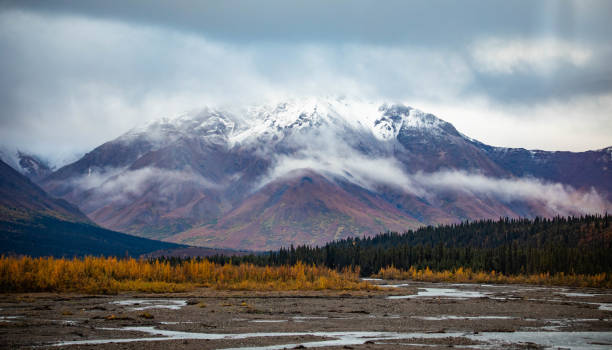 istock Tundra panorama view at Denali National Park in fall 1282597326