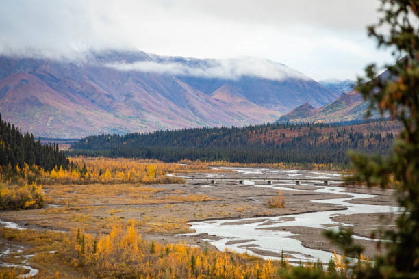 istock Tundra panorama view at Denali National Park in fall 1282597350